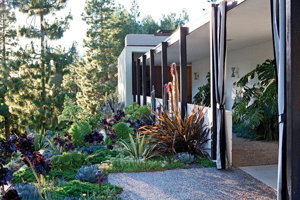 Open Invitation: Beverly Hills Glamour, Photo Gallery
Elysian Landscapes
Los Angeles, CA