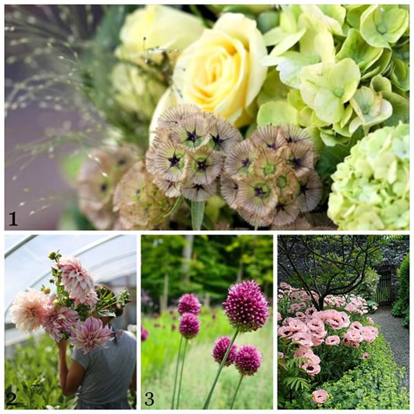 Our Top 10 Favorite Pinterest Boards
Garden Design
Calimesa, CA