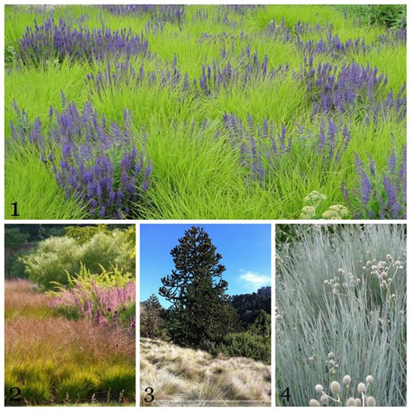 Our Top 10 Favorite Pinterest Boards
Garden Design
Calimesa, CA