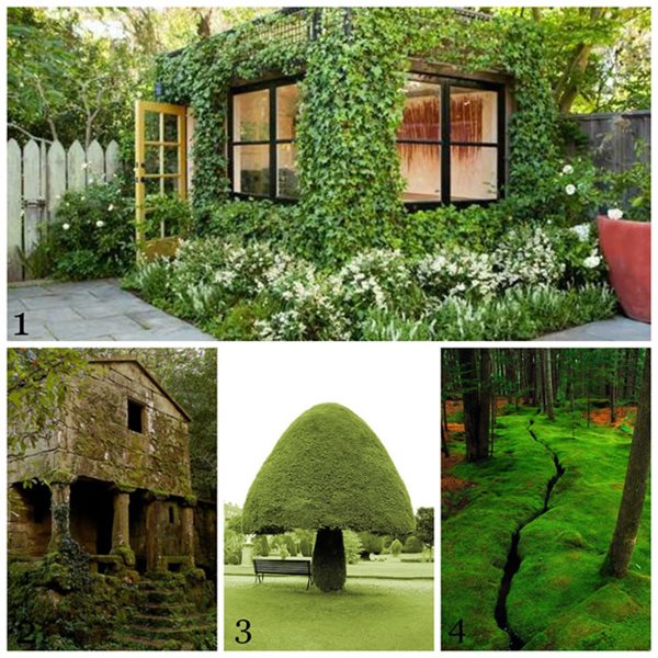 Our Top 10 Favorite Pinterest Boards
Garden Design
Calimesa, CA