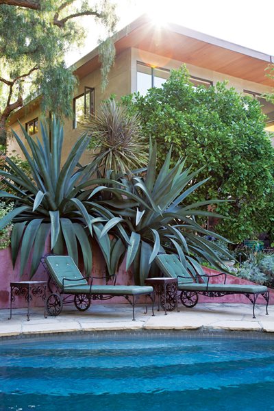 Outdoor Entertaining with Judy Kameon
Garden Design
Calimesa, CA