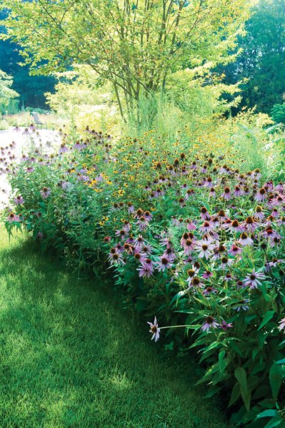Pasture Perfect: A Wildflower Meadow, Photo Gallery
Garden Design
Calimesa, CA