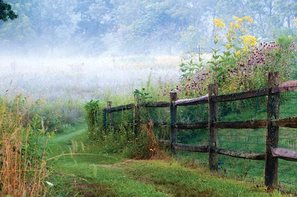 Pasture Perfect: A Wildflower Meadow, Photo Gallery
Garden Design
Calimesa, CA