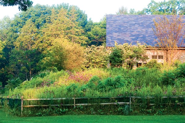 Pasture Perfect: A Wildflower Meadow, Photo Gallery
Garden Design
Calimesa, CA