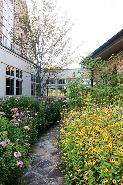 Pasture Perfect: A Wildflower Meadow, Photo Gallery
Garden Design
Calimesa, CA