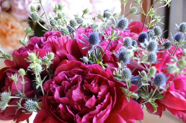 Peonies and Garden Roses
Garden Design
Calimesa, CA