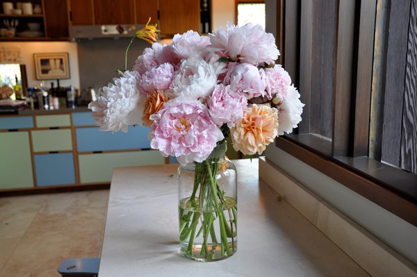 Peonies and Garden Roses
Garden Design
Calimesa, CA