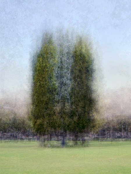 Garden Design Trees pep ventosa's trees in the round - gallery | garden design Garden Design Trees pep ventosa's trees in the round - gallery | garden design