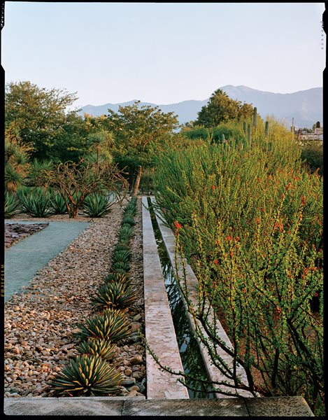 Photos of Jardin Etnobotanico de Oaxaca
Garden Design
Calimesa, CA