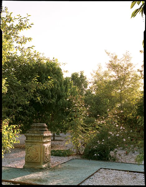 Photos of Jardin Etnobotanico de Oaxaca
Garden Design
Calimesa, CA