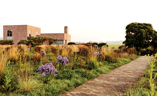 Piet Oudolf's Next Wave, Photo Gallery - Gallery | Garden Design