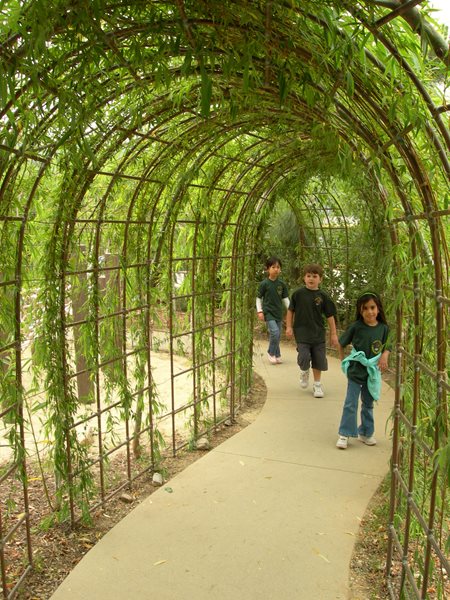 Playgrounds
Garden Design
Calimesa, CA