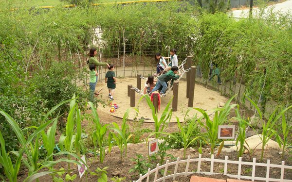 Playgrounds
Garden Design
Calimesa, CA