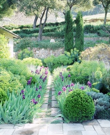 Power of Gardens by Nancy Goslee Power
Garden Design
Calimesa, CA