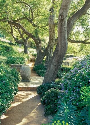 Power of Gardens by Nancy Goslee Power
Garden Design
Calimesa, CA