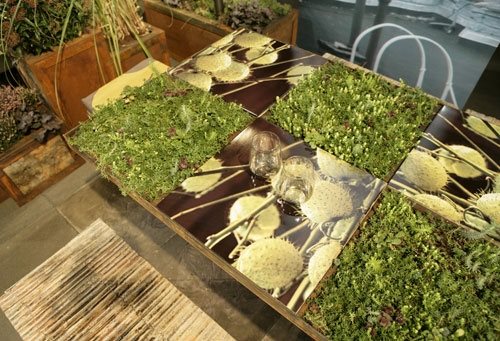 Rebecca Cole's Showcase Rooftop Garden
Garden Design
Calimesa, CA