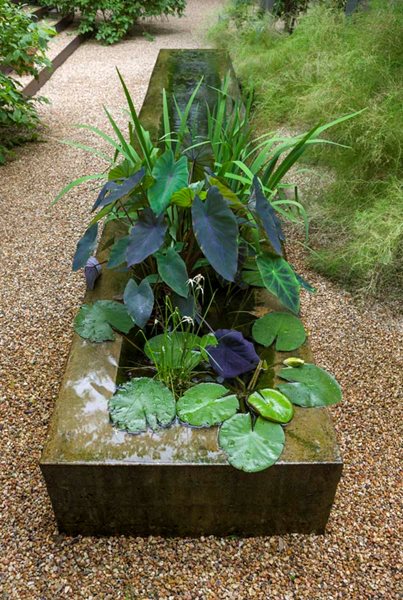 Recirculating Fountain Residential Retreat in Austin - Gallery | Garden Design