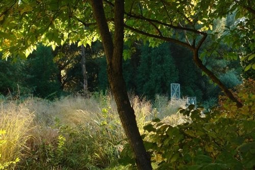 Rick Darke's American Woodland Garden
Garden Design
Calimesa, CA