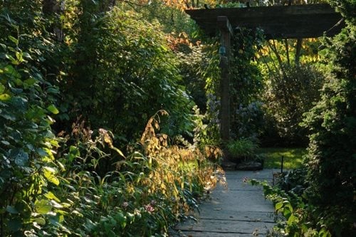 Rick Darke's American Woodland Garden
Garden Design
Calimesa, CA