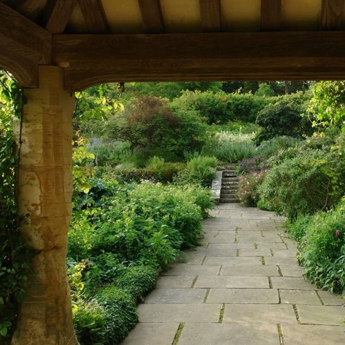 Rick Darke's American Woodland Garden
Garden Design
Calimesa, CA