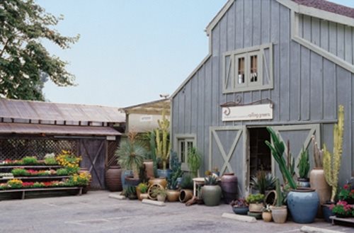 Rolling Greens
Garden Design
Calimesa, CA