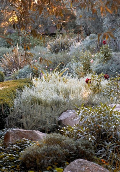 Rudd Oakville Estate
Garden Design
Calimesa, CA