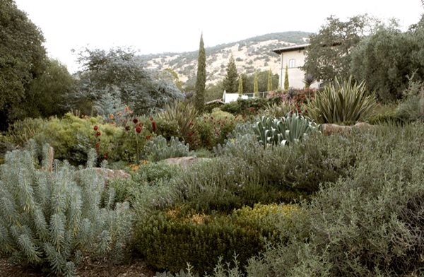 Rudd Oakville Estate
Garden Design
Calimesa, CA