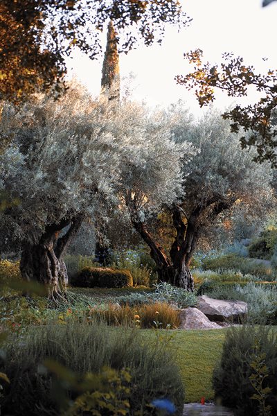 Rudd Oakville Estate
Garden Design
Calimesa, CA