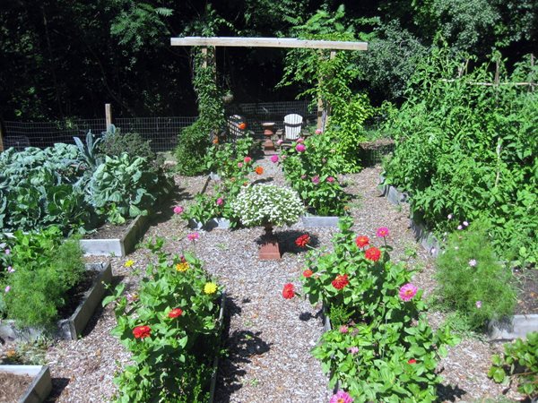 Winter Sowing in a Baggie  Veggie garden, Edible garden, Garden seeds