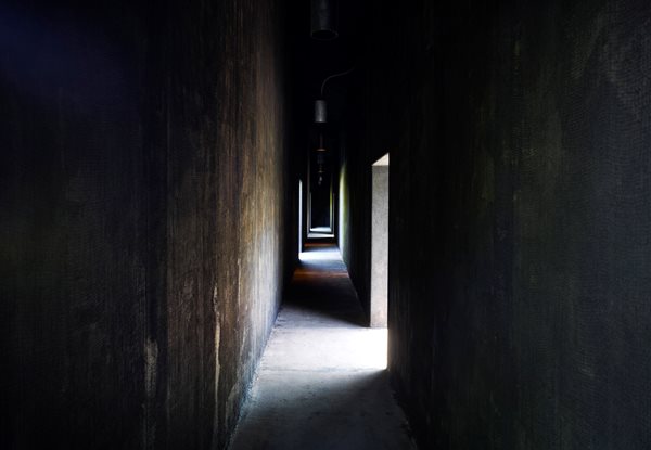 Serpentine Gallery's 2011 Pavilion by Peter Zumthor
Garden Design
Calimesa, CA
