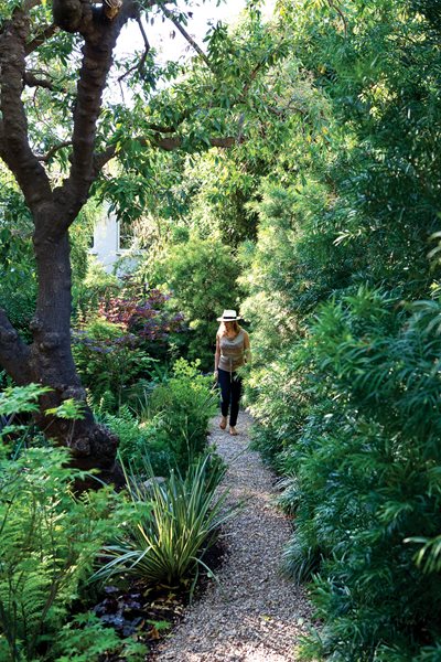 Gravel Path
Shade Garden Pictures
Commune Design
Los Angeles, CA