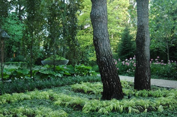 Shade Garden Pictures
Janet Rosenberg & Studio
Toronto, ON
