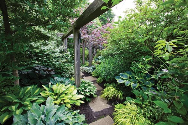 Shade Garden Pictures
Marjorie Harris Designs
Toronto, ON