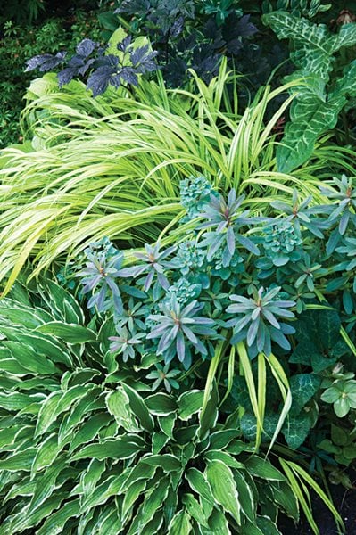 Shade Garden Pictures
Marjorie Harris Designs
Toronto, ON