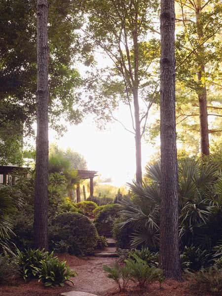 Shade Garden Pictures
Peckerwood Garden
Hempstead, TX