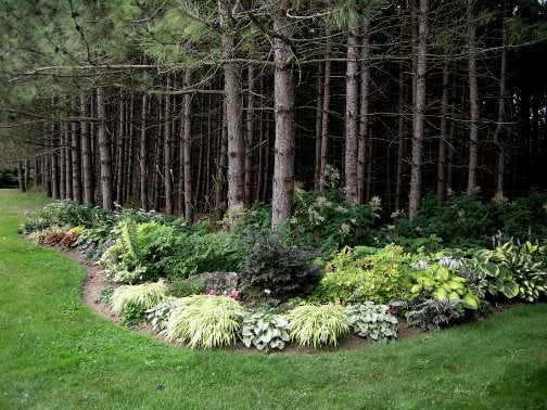 Shade Garden Pictures
Plant Paradise Country Gardens
Caledon, ON