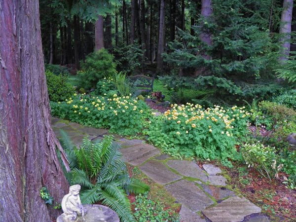 Shade Garden Pictures
Sea Cliff Gardens Bed & Breakfast
Port Angeles, WA