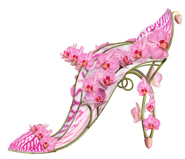 Shoe Fleur - Gallery | Garden Design