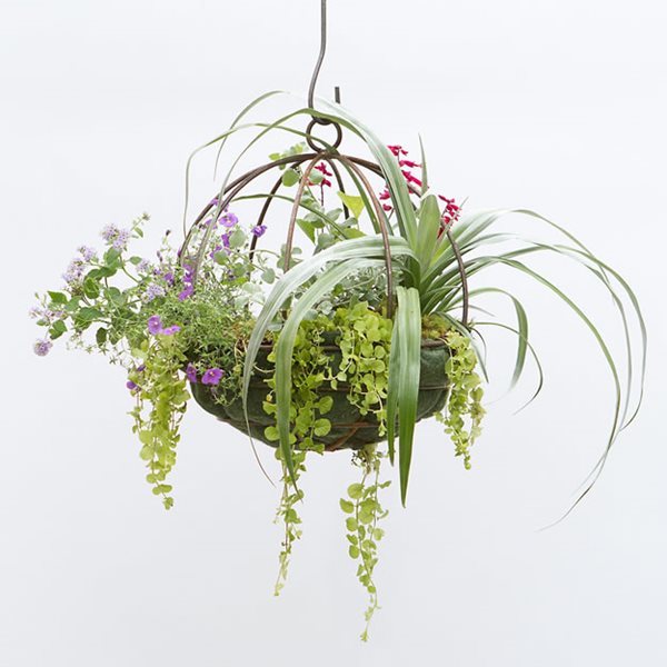 Simple Solutions for Hanging Gardens
Garden Design
Calimesa, CA