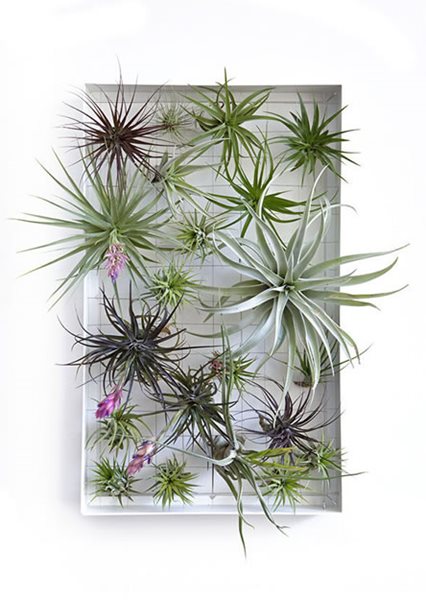 Simple Solutions for Hanging Gardens
Garden Design
Calimesa, CA