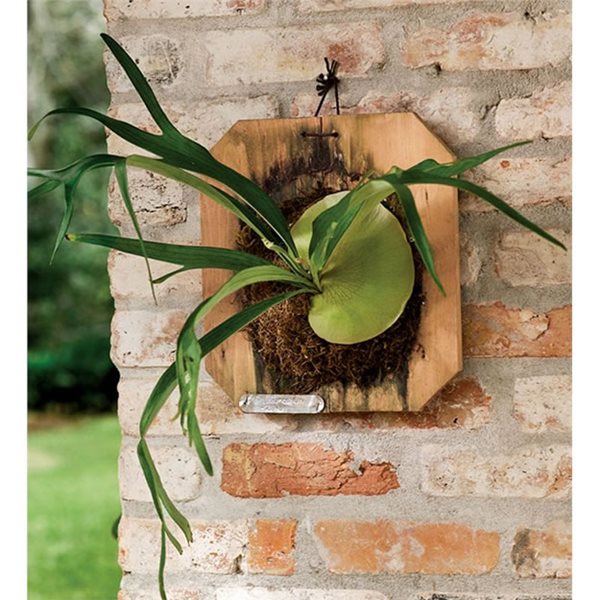 Simple Solutions for Hanging Gardens
Garden Design
Calimesa, CA