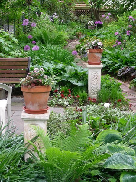 Small Garden, Big Interest
Eric Sternfels (Homeowner)
Philadelphia, PA