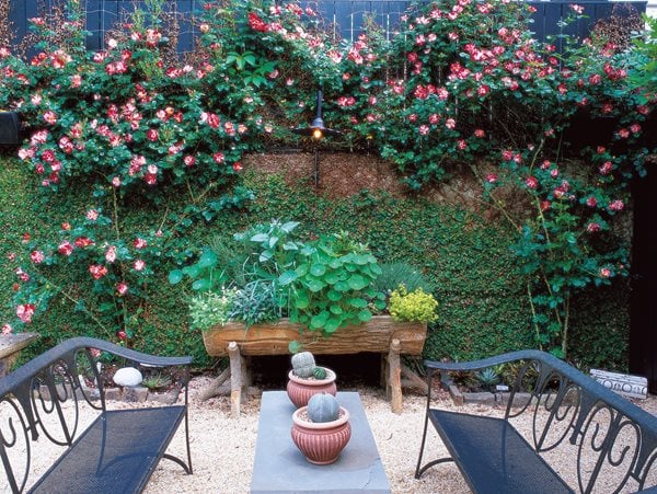 Small Garden, Seating Area  Small Garden Pictures  William Morrow Garden Design  Washington D.C., 
