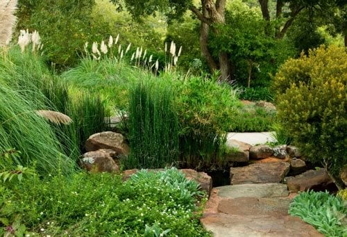Spa Gardens
Garden Design
Calimesa, CA