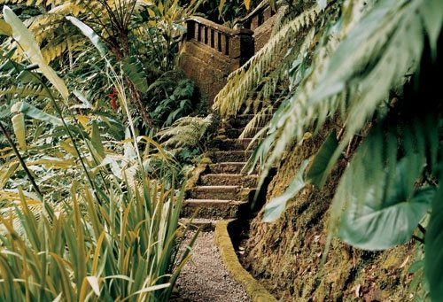 Spa Gardens
Garden Design
Calimesa, CA