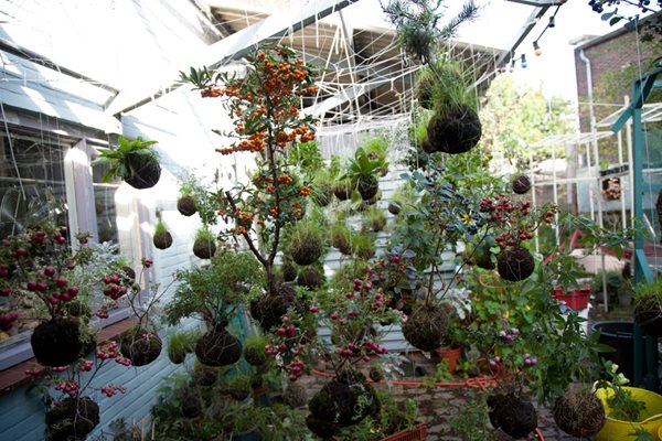 String Gardens
Garden Design
Calimesa, CA