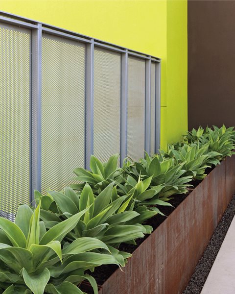Succulent and Cacti Pictures
Andrea Cochran Landscape Architecture
San Francisco, CA