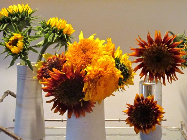 Sunflowers, Zinnias, and Dahlias
Garden Design
Calimesa, CA