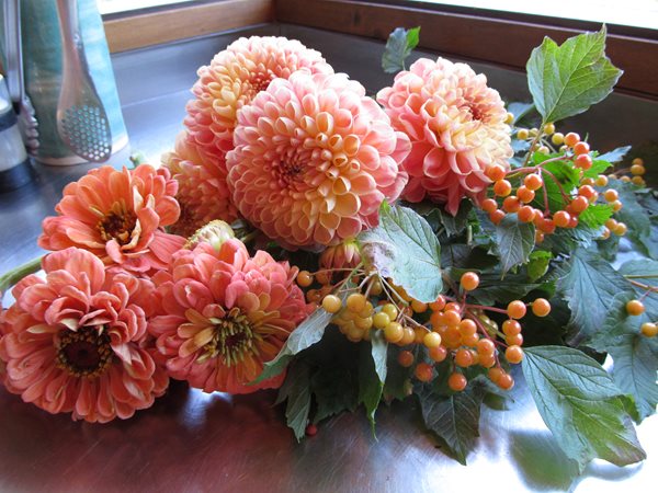 Sunflowers, Zinnias, and Dahlias
Garden Design
Calimesa, CA