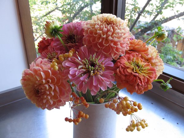Sunflowers, Zinnias, and Dahlias
Garden Design
Calimesa, CA